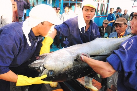 Bình Định: Quảng bá thương hiệu, sản phẩm 53 mặt hàng được công nhận sản phẩm OCOP