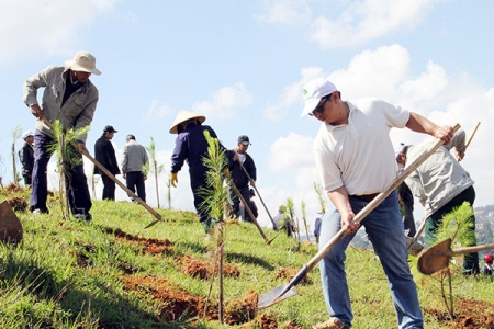 Huyện Ia Pa (Gia Lai): Trồng 130.000 cây xanh thì chết đến hơn một nửa