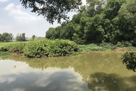 Đồng Nai: Tìm thấy thi thể người đàn ông mất tích trên sông