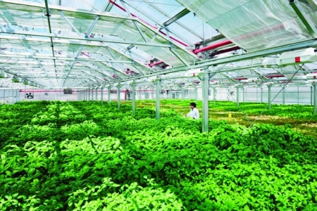 Thanh Hóa: Tăng cường kiểm tra, xử lý nghiêm các trường hợp lợi dụng dịch bệnh để trục lợi, kinh doanh vật tư nông nghiệp giả