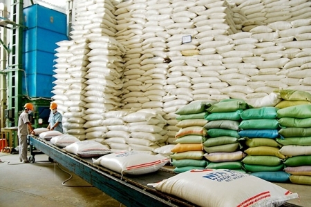 Tổng công ty Lương thực miền Nam: Tăng cường cung cấp lương thực, góp phần ổn định thị trường