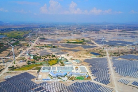 Trung Nam Group: Khẩn trương xây dựng dự án điện mặt trời 450 MW tại Ninh Thuận