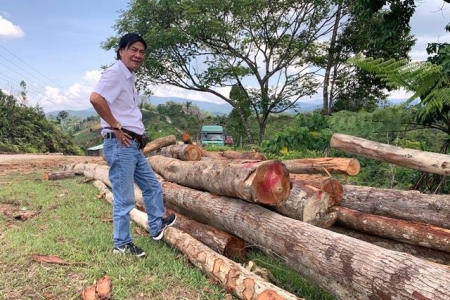 Thủ tướng yêu cầu xử lý nghiêm vụ phá rừng ở Kon Tum