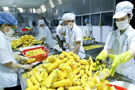 Tổng kim ngạch xuất nhập khẩu hàng nông, lâm, thủy sản ước đạt gần 21,1 tỷ USD trong 4 tháng đầu năm