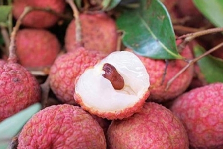 Vải thiều Việt Nam không thể xuất sang Nhật