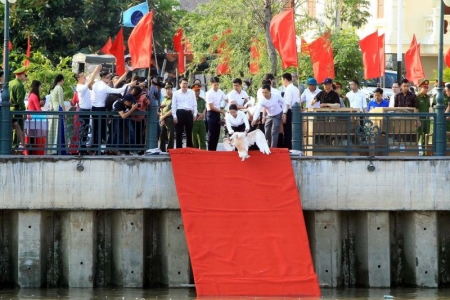 Hải Phòng: 65 đôi thiên nga được thả xuống dòng sông Tam Bạc