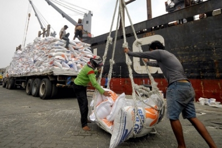 Gạo nhập vào Indonesia phải dùng tàu và dịch vụ bảo hiểm của nước này