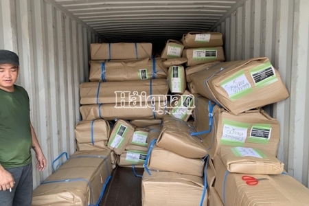 Hải quan TP.HCM tạm giữ 4 container đàn piano nhập khẩu không khai báo hải quan