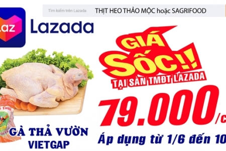 Gà thả vườn VietGAP 79.000 đ/con tại sàn TMĐT Lazada từ ngày 1-10/6