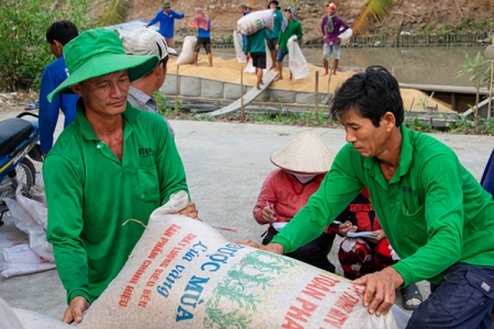 Giá gạo Việt Nam xuất khẩu tăng cao nhất trong vòng gần 1 năm qua