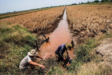 WB phê duyệt khoản vay 84,4 triệu USD giúp Việt Nam ứng phó với biến đổi khí hậu