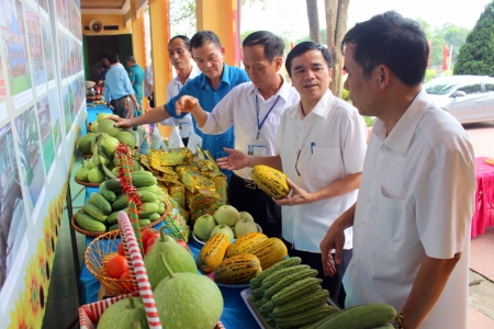 Thái Nguyên: Chi hơn 1.160 tỷ đồng xây dựng nông thôn mới