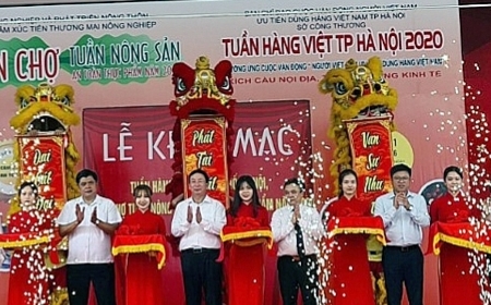 Khai mạc tuần hàng Việt và an toàn thực phẩm năm 2020