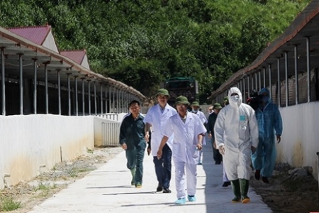 Thanh Hóa: Kiểm tra công tác tái đàn, khôi phục sản xuất chăn nuôi lợn