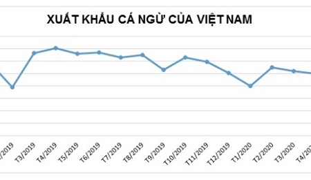 Xuất khẩu cá ngừ tiếp tục giảm do ảnh hưởng bởi COVID-19