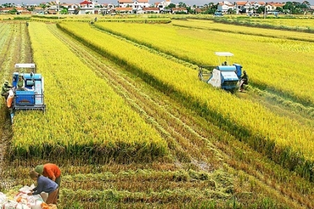 Bộ Tài chính ban hành 3 thông tư về giảm phí cho nhiều dịch vụ để hỗ trợ các đối tượng ảnh hưởng bởi dịch Covid-19