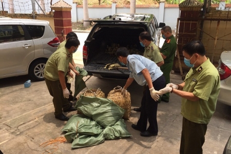 Lạng Sơn: Bắt giữ số lượng lớn gia cầm nhập lậu qua biên giới