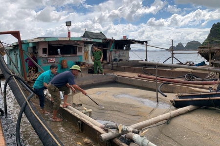 Quảng Ninh: Khởi tố 3 tàu hút cát trái phép trên biển