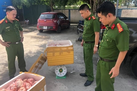 Hà Tĩnh: Phát hiện xe ô tô vận chuyển hơn 100 kg gà không rõ nguồn gốc