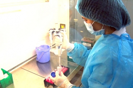 Phú Thọ: 9 trường hợp đang cách ly có kết quả âm tính với COVID-19