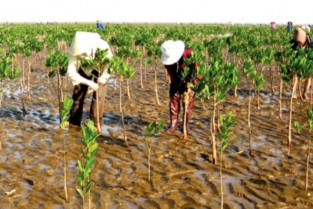 Thanh Hóa: Nỗ lực đẩy nhanh tiến độ thực hiện dự án phòng chống thiên tai và biến đổi khí hậu vùng ven biển