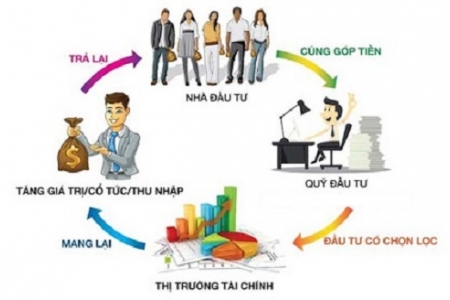 Đầu tư chứng chỉ quỹ: Cơ hội sinh lời hấp dẫn và an toàn