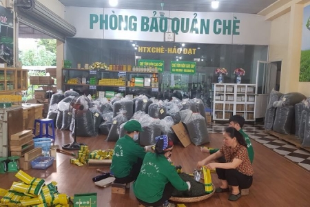 Thái Nguyên: Đẩy mạnh triển khai xây dựng xã Nông thôn mới kiểu mẫu và mô hình Hợp tác xã kiểu mới