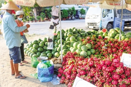 Cần Thơ: Nhiều loại trái cây rớt giá đến mức kỷ lục