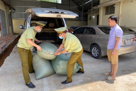 QLTT Lạng Sơn: Tiêu hủy lô hàng thuốc bắc không rõ nguồn gốc