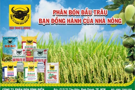 Thương hiệu Phân bón Bình Điền đạt chứng nhận “Hàng Việt Nam chất lượng cao” lần thứ 17 liên tiếp