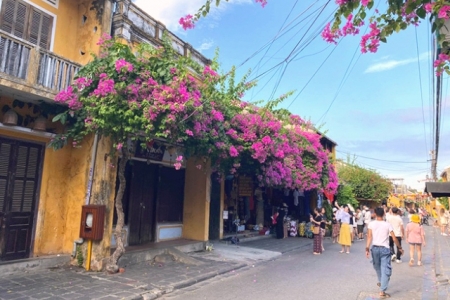 Quảng Nam: Các xã, phường, thành phố, thị trấn trong tỉnh sẽ trở lại trạng thái “bình thường mới” từ sáng 6/9