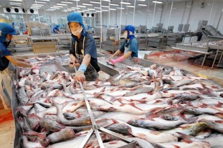 Xuất khẩu cá tra sang Trung Quốc vẫn chưa thể tăng trưởng dương