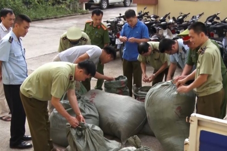 Lạng Sơn: Bắt giữ gần 350 kg nguyên liệu thuốc bắc nhập lậu