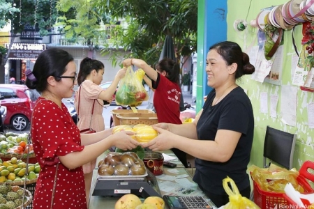 Hà Nội có hơn 800 điểm kinh doanh trái cây an toàn