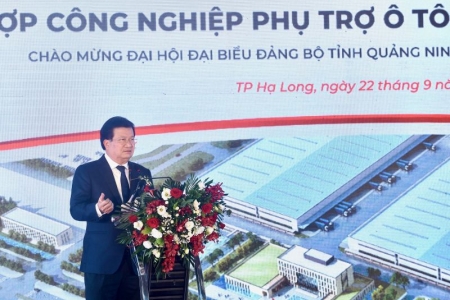 Sẽ có nhiều giải pháp phát triển ngành công nghiệp ô tô Việt Nam đáp ứng nhu cầu thị trường