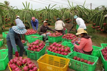 Việt Nam - Lựa chọn lý tưởng về nguồn cung nông sản, thực phẩm