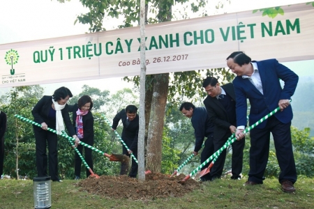 Vinamilk chung tay cùng người dân trồng cây gây rừng, góp phần tăng thu nhập cho người dân