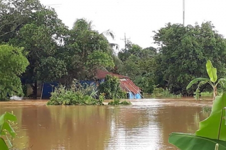 Quảng Ngãi: Hơn 262 ha rau màu bị thiệt hại do bão số 6