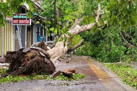 Quảng Ngãi: Bão số 9 thiệt hại ước tính khoảng 130 tỷ đồng