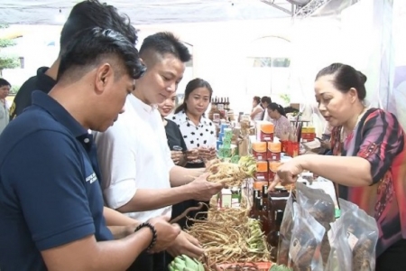 TP. Hồ Chí Minh: Tổ chức Tuần lễ nông sản Lâm Đồng