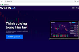 TP HCM cảnh báo đa cấp trái phép trên website Wefinex