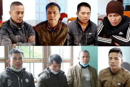 Quảng Bình: Khởi tố chủ doanh nghiệp và nhóm “lâm tặc”