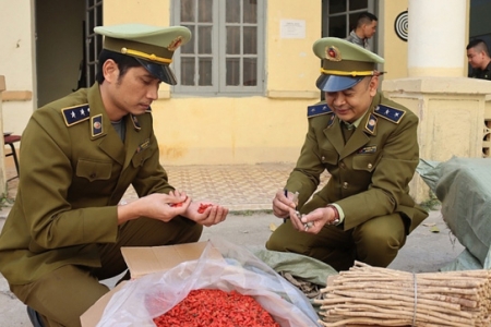 Thu giữ hơn 1 tấn nguyên liệu thuốc Bắc không rõ nguồn gốc