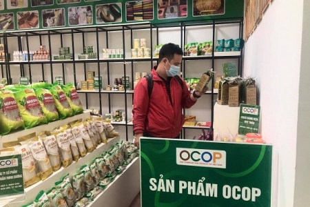 Phát triển hệ thống chuỗi các điểm giới thiệu và bán sản phẩm OCOP uy tín