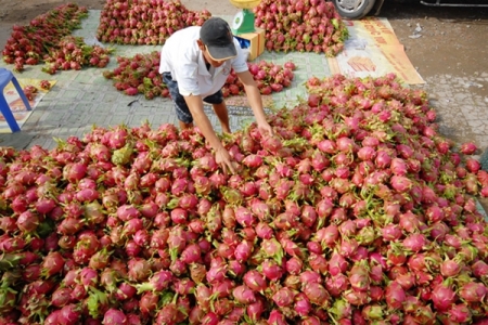 Nông sản ùn ùn kéo lên cửa khẩu, Bộ Công Thương tiếp tục đưa ra khuyến nghị