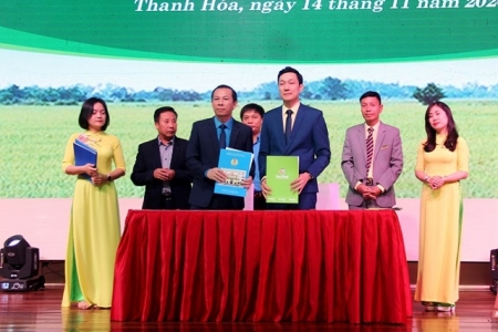 Thanh Hóa: Triển khai Chương trình “Phúc lợi cho đoàn viên và người lao động”