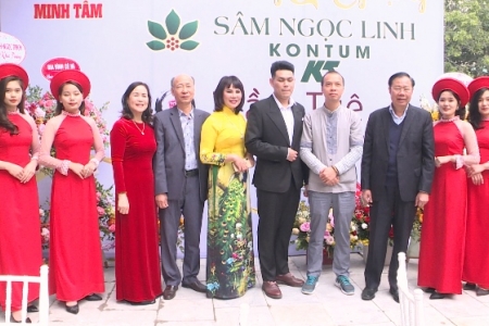 Sâm Ngọc Linh Kon Tum: Khai trương đại lý đầu tiên thương hiệu K5 tại TP. Hạ Long