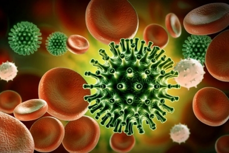 Phát hiện ca COVID-19 đầu tiên tại Việt Nam nhiễm biến thể virus mới ở Nam Phi