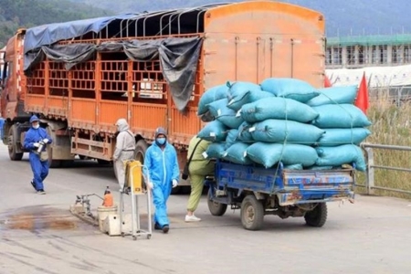 Hải Dương: Đảm bảo lưu thông hàng hóa phục vụ nhân dân ứng phó dịch Covid-19