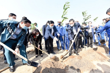 Hà Nội: Phát động Tết trồng cây Xuân Tân Sửu 2021